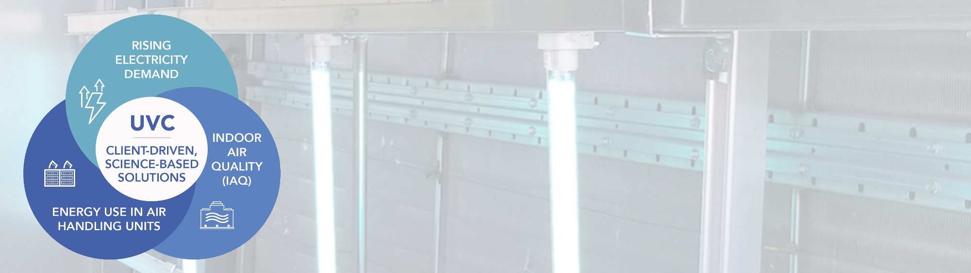 Bringing Invisible Solutions to Light